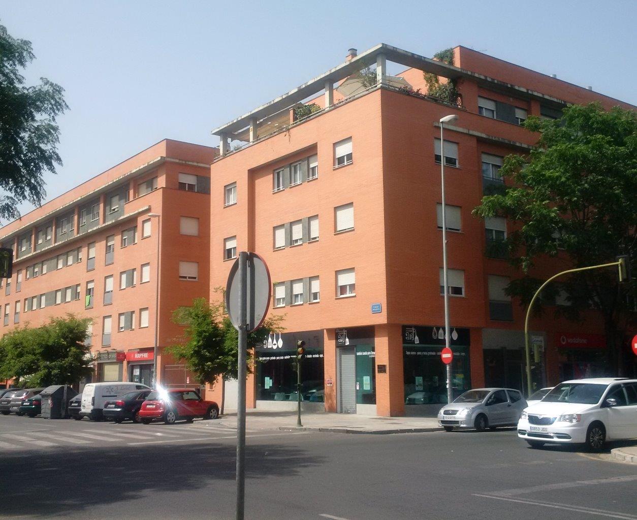 Edificio Viviendas en alquiler. Sevilla (part)